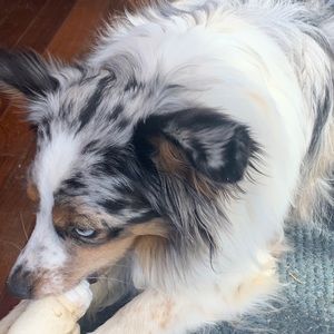 Meet your Posher, Isabel